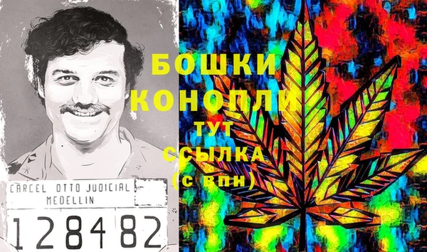 крисы Арсеньев